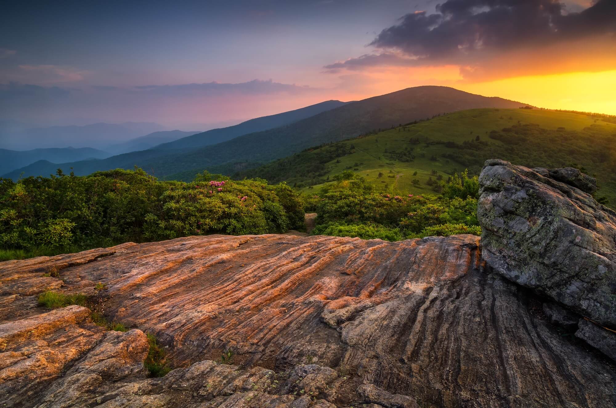 Roan Mountain State Park