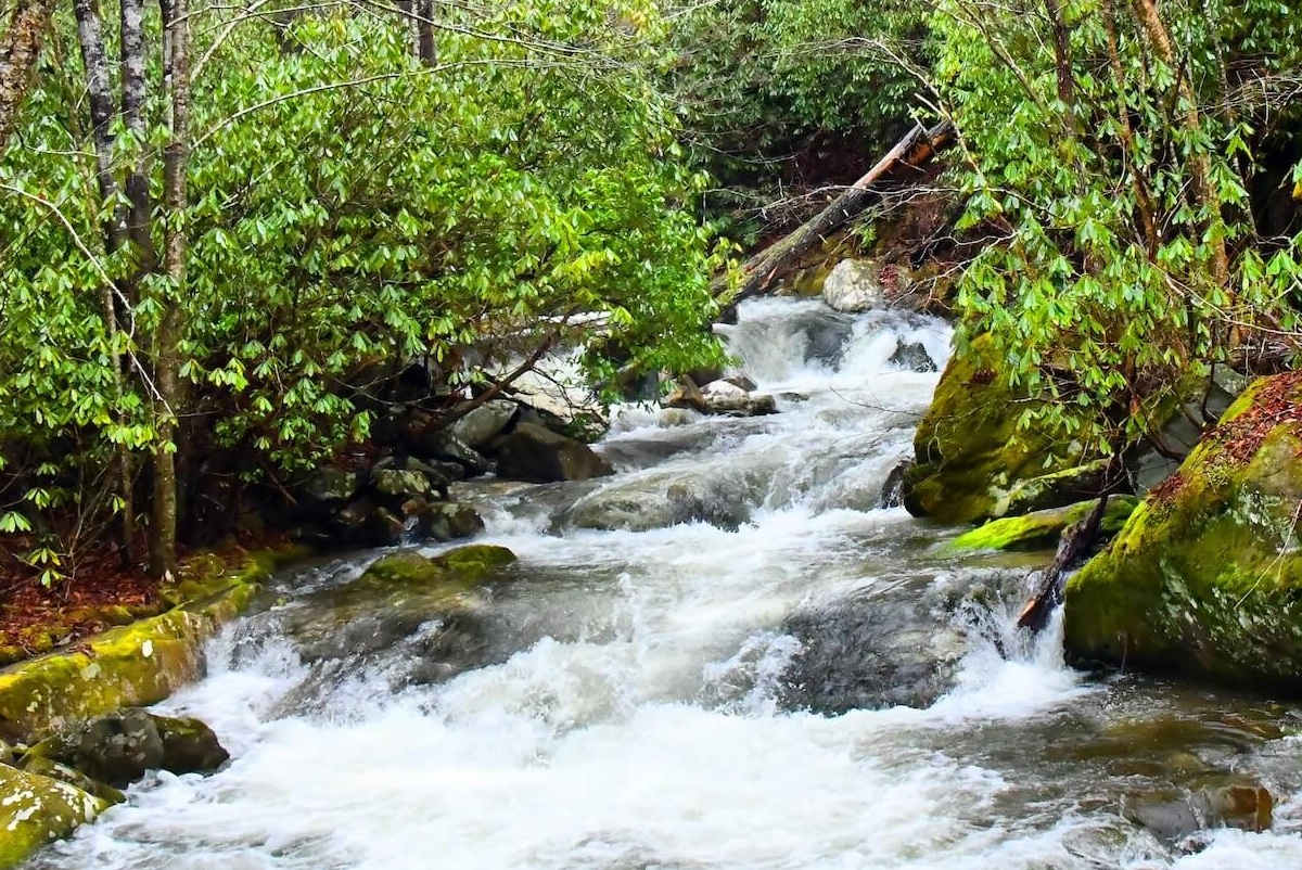 Rocky Fork State Park