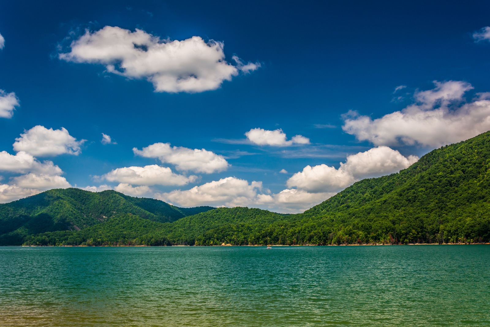 Watauga Lake